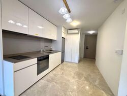 Amber Park (D15), Condominium #566358561